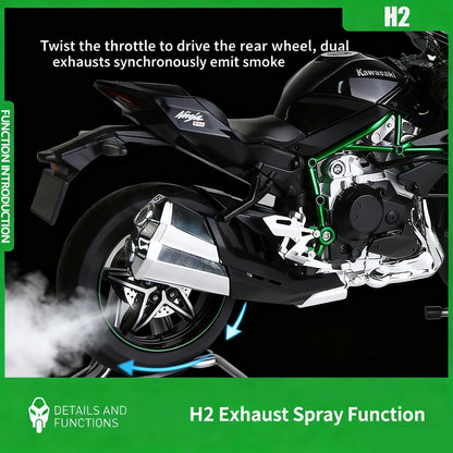 Kawasaki Ninja H2/H2R - 1:9