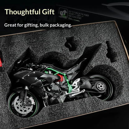 Kawasaki Ninja H2R - 1:9
